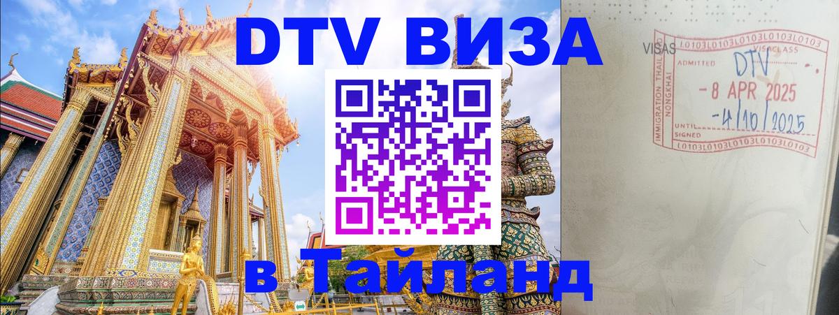 Сколько стоит DTV виза — актуальные цены, оформление даже без документов - Тирана  03.10.2025 